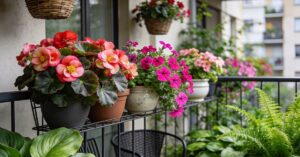Kwiaty balkonowe do cienia: najpiękniejsze rośliny na zacieniony balkon